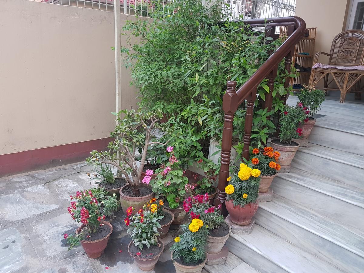 Cozy Home Jawlakhel Exterior photo